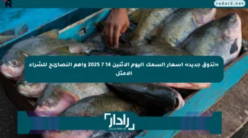 «تذوق جديد» أسعار السمك اليوم الإثنين 14 7 2025 وأهم النصائح للشراء الأمثل